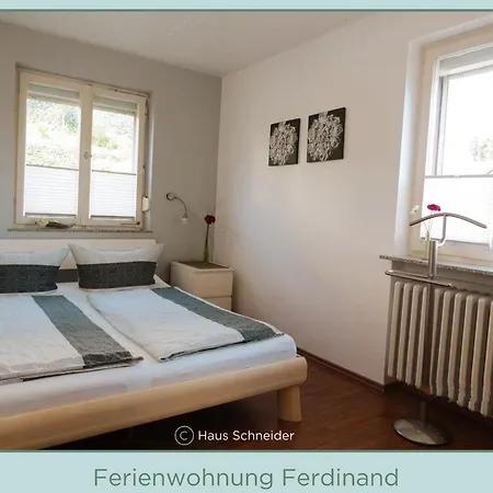 Haus Schneider Apartment