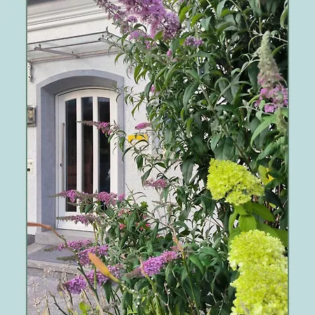 Haus Schneider *